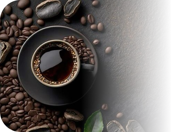 About Temukan Kopi